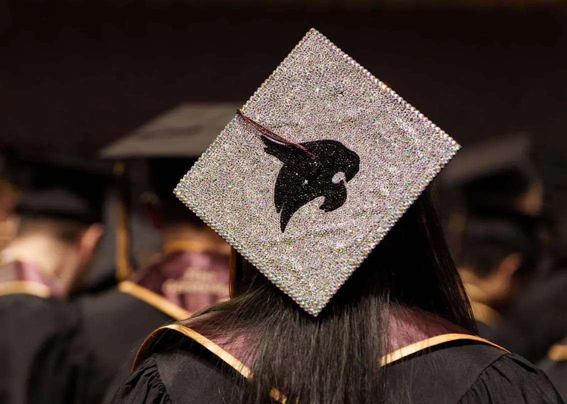 the back of a student in a graduation cap